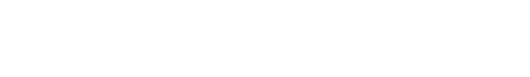 State Service Logo